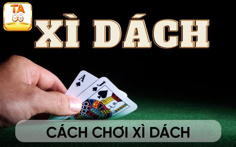 Tìm hiểu về xì dách và cách chơi xì dách cơ bản cùng TA88